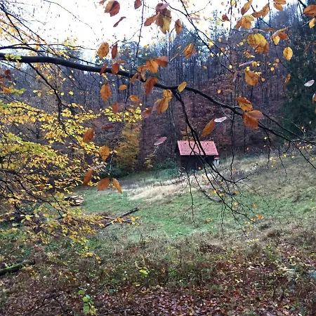 Brunarica Arko Brezovica